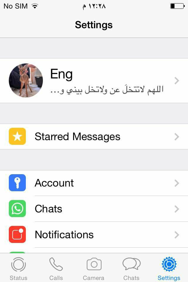 Whatsapp messenger online laptop